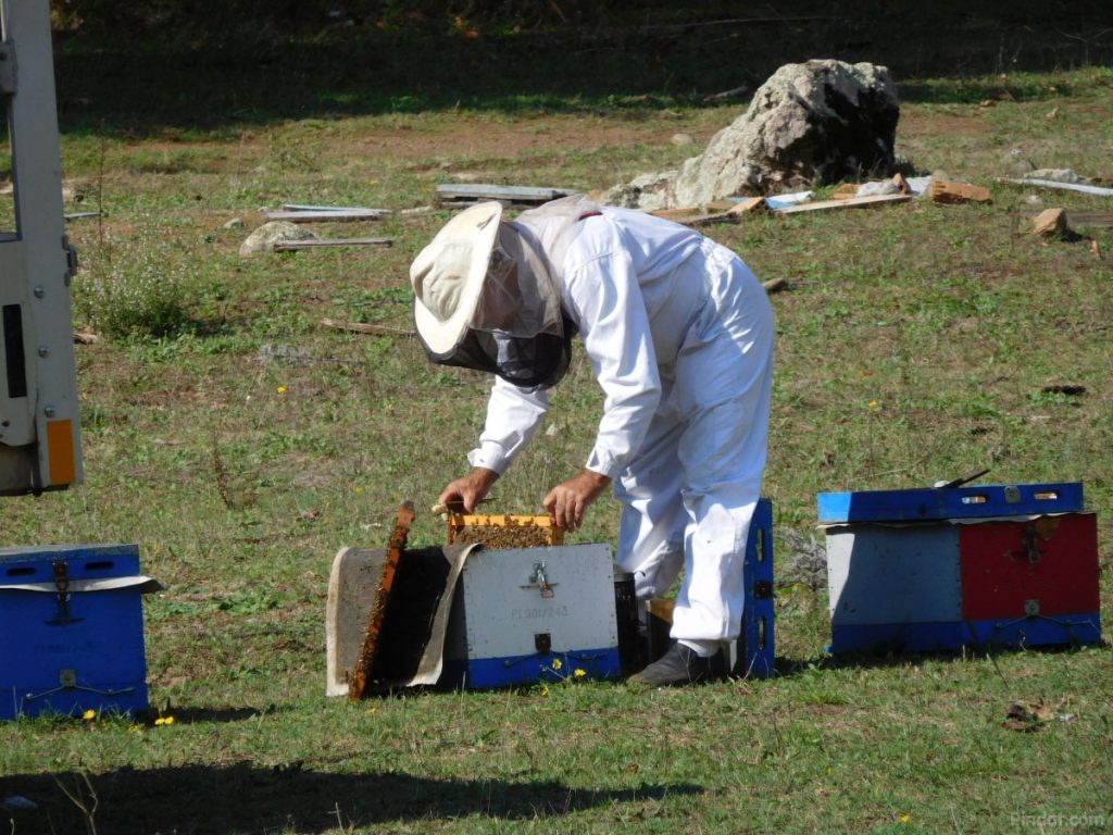 Van Nea Artaki naar Katsaros