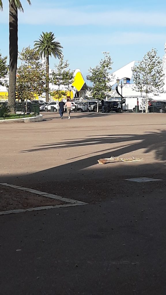 Maandag 23 september 2019