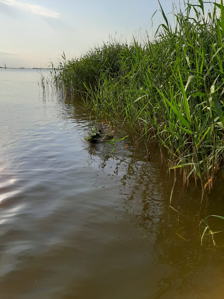 Vrijdag 26 juni 2020