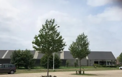 26 en 27 maart 2021 Gendringen