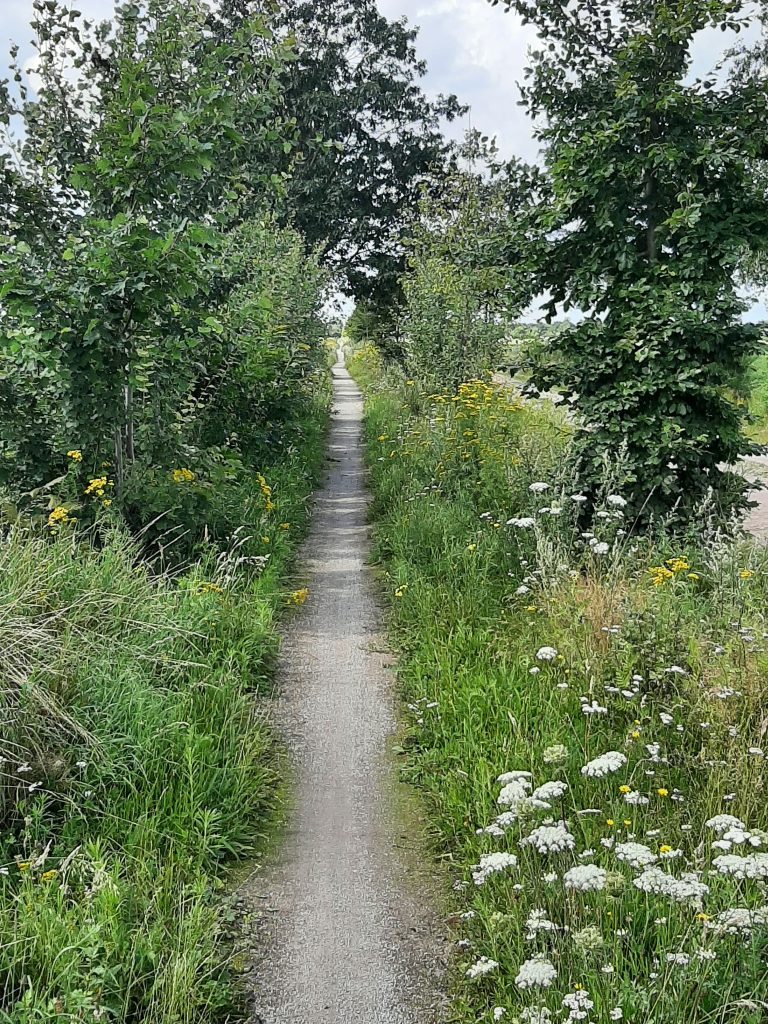 Bergeijk, 7 augustus 2021