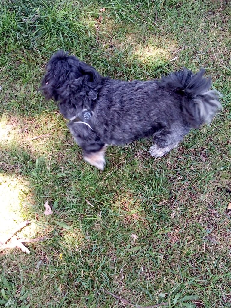 Giesbeek, 20 juli 2021