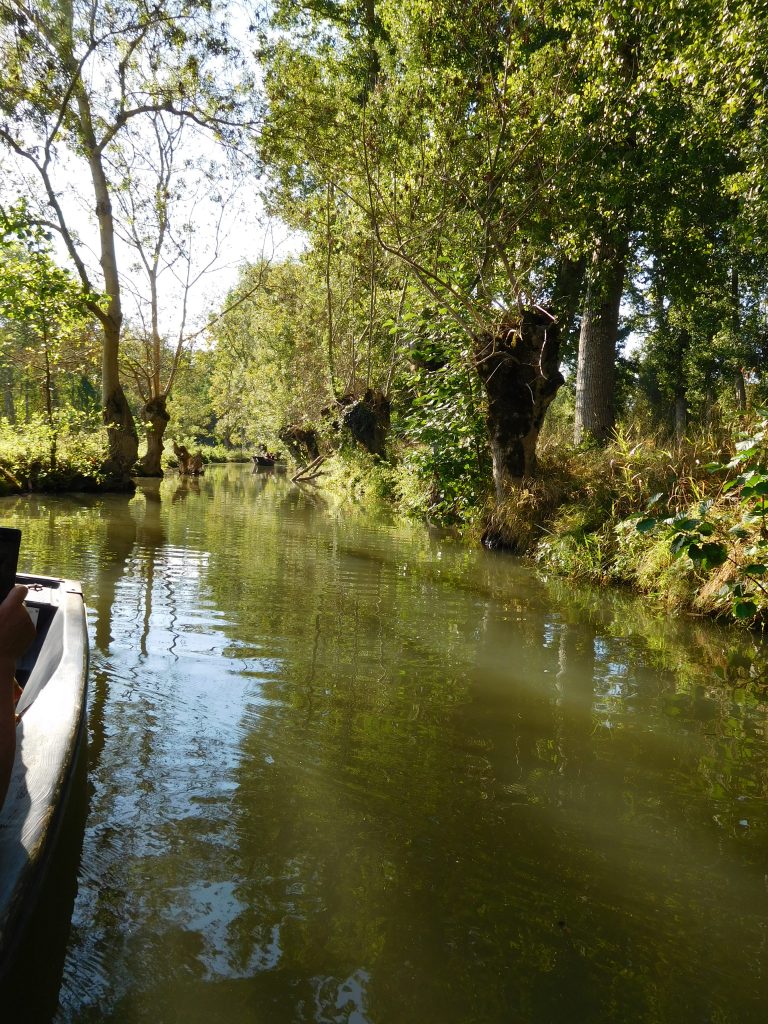 Magné, 17 september 2021