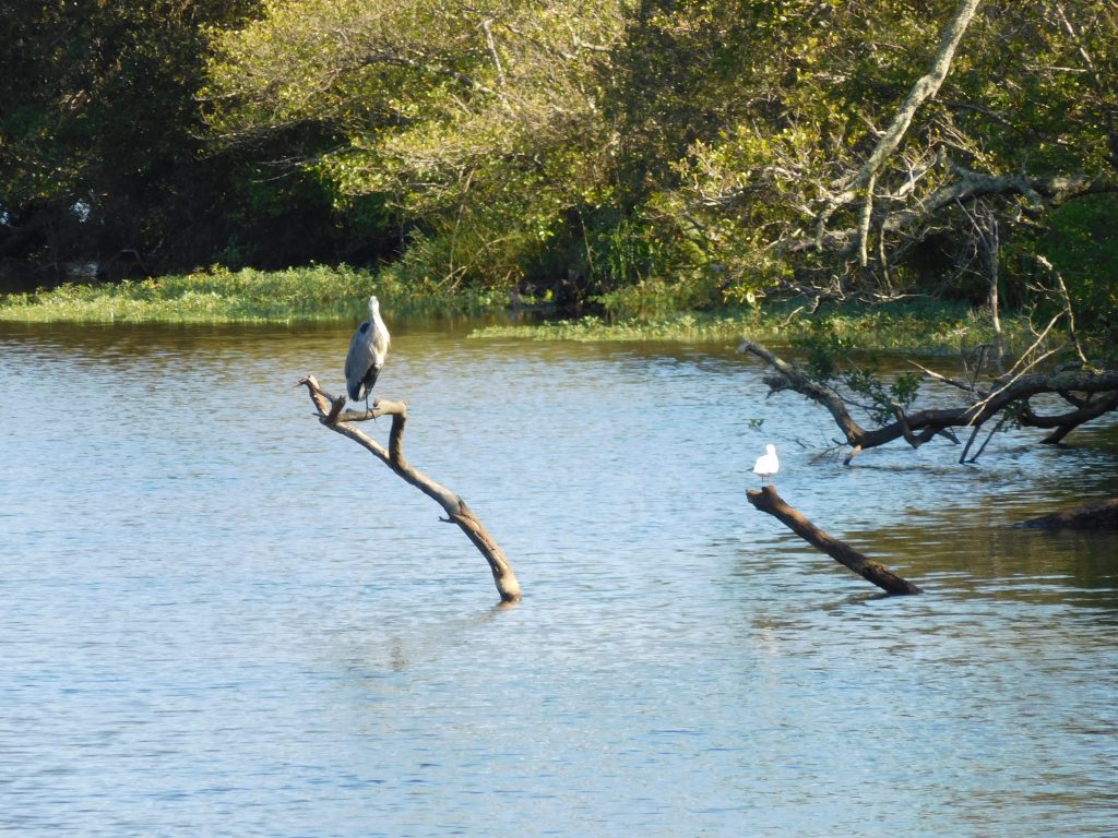 Sainte Eulalie en Born, 30 september 2021