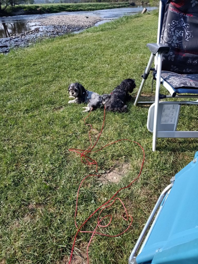 Camping Pont du Deulin, Hotton: Dag 4