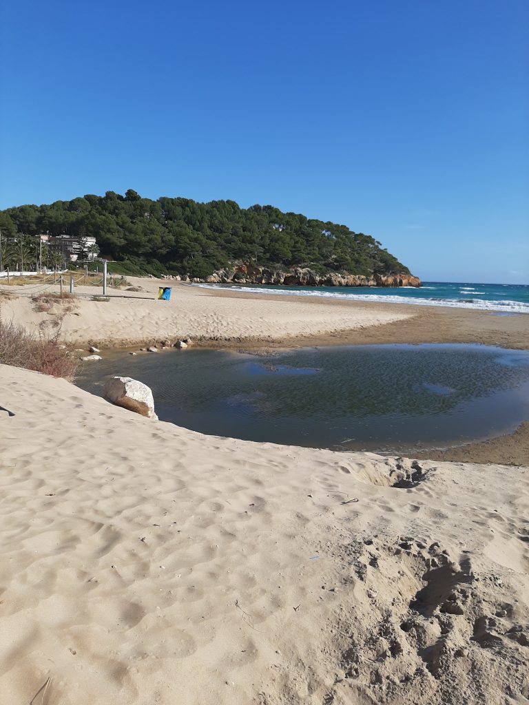 11 november 2022, Torre de la Móra (E)