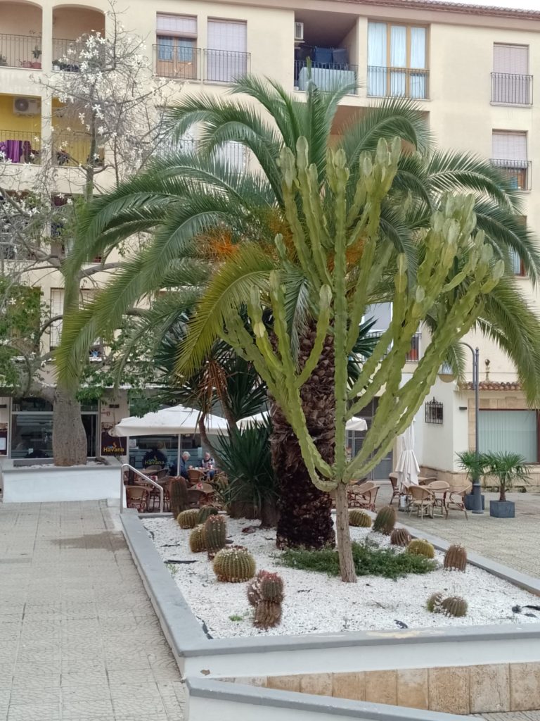 15 december 2022, Moraira (E)