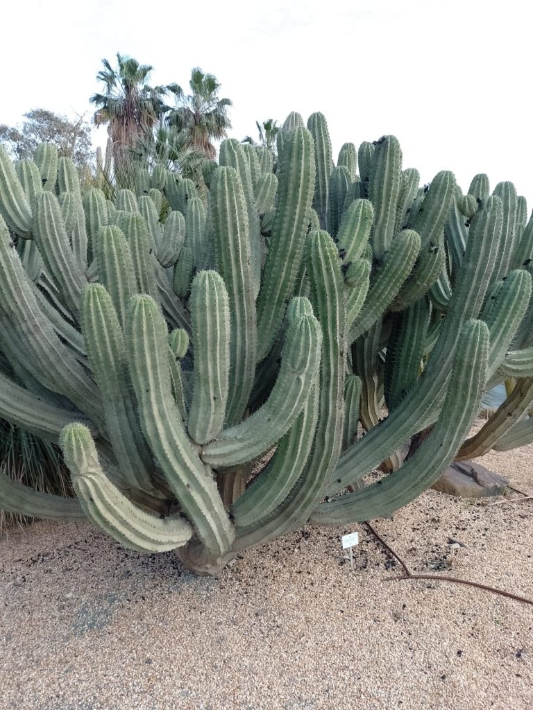 15 februari 2023, Benalmádena (E)