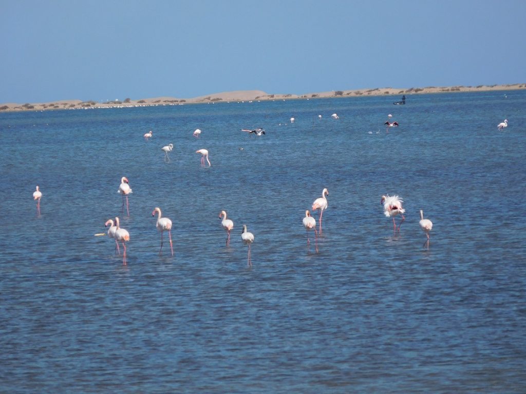 5 maart 2023, L’Ampolla (E)