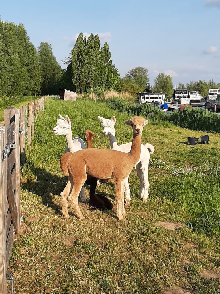 IJsselstein, 22 mei 2023