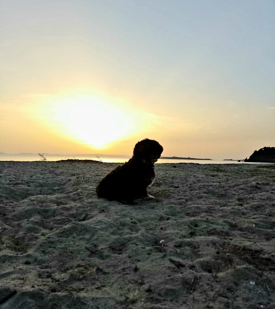 20 tot en met 24 oktober 2023, Ouranoupoli (GR)