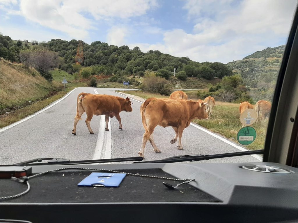 26 oktober 2023, Karpero (GR)