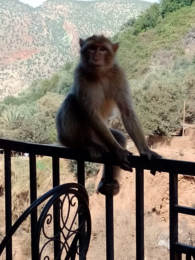 20 februari 2024, Ouzoud (MA)