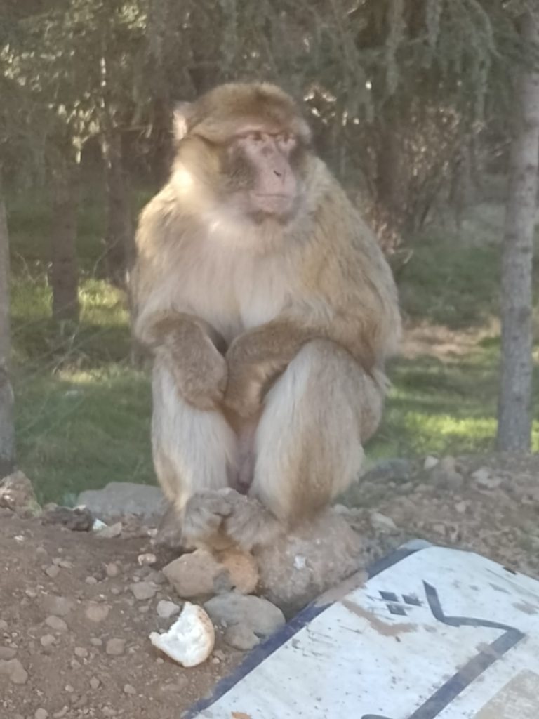 3 februari 2024, Midelt (MA)