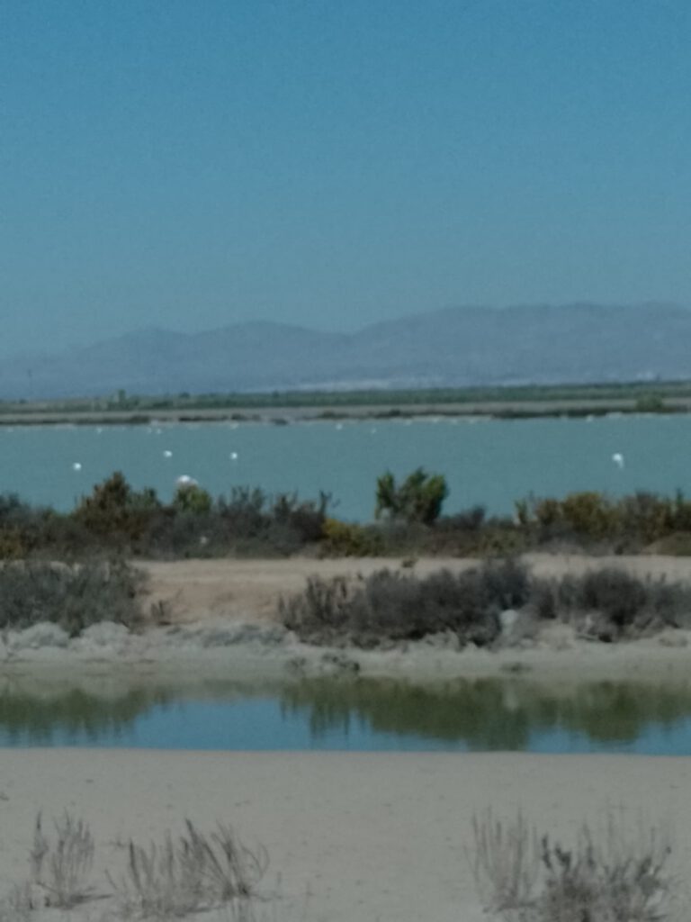 14 april 2024, Murcia (E)