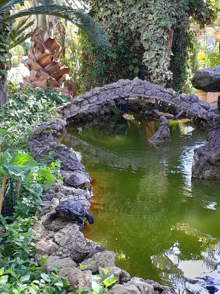 16 april 2024, Mazarrón/Bolnuevo (E)