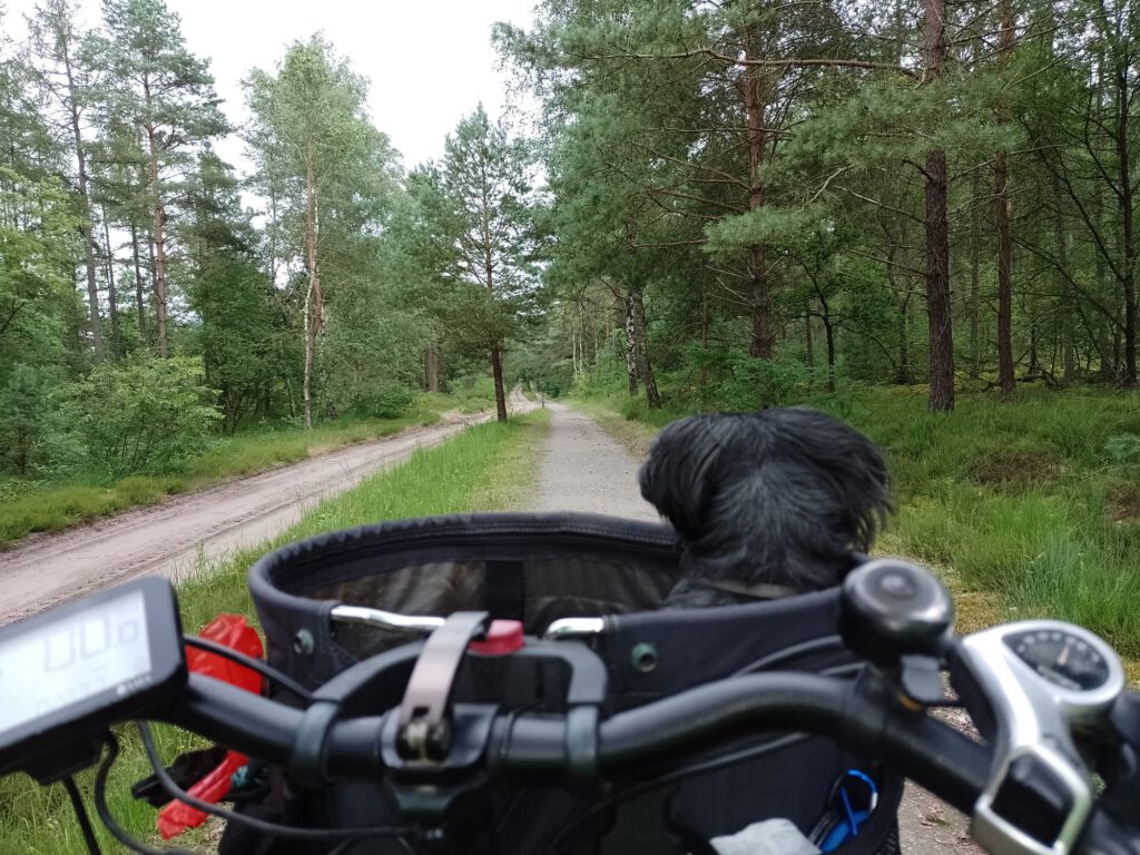 5 juli 2024, Celle (D)