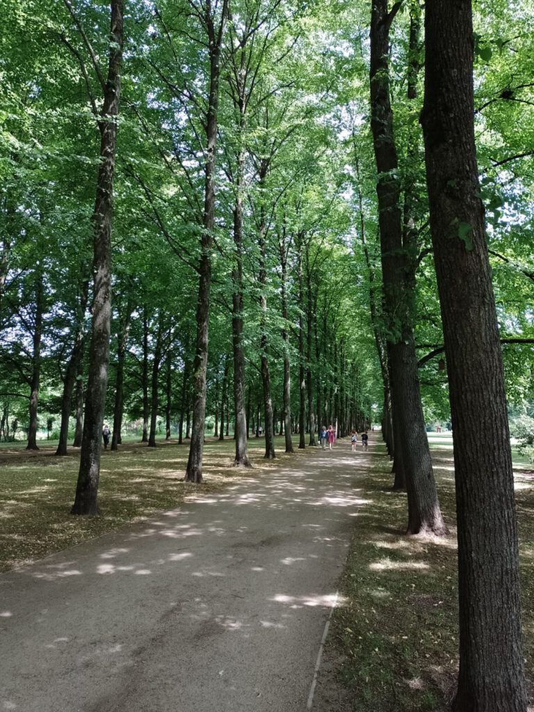 6 juli 2024, Celle (D)