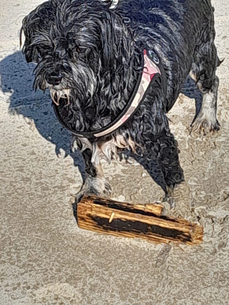 20 september 2024, Koudekerke (NL)