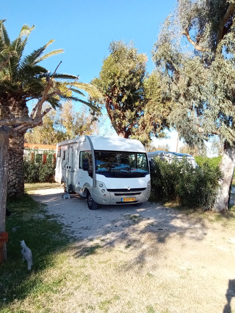 12 januari 2025, L’Ampolla (E)