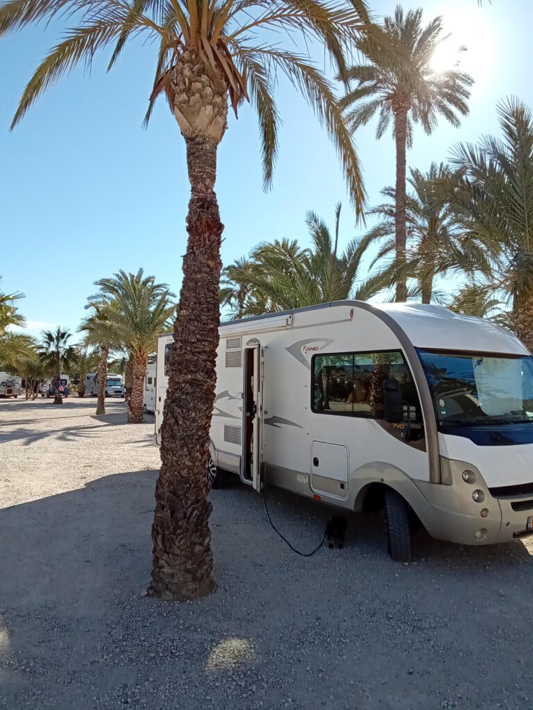 12 februari 2025, Los Baños de Fortuna (E)