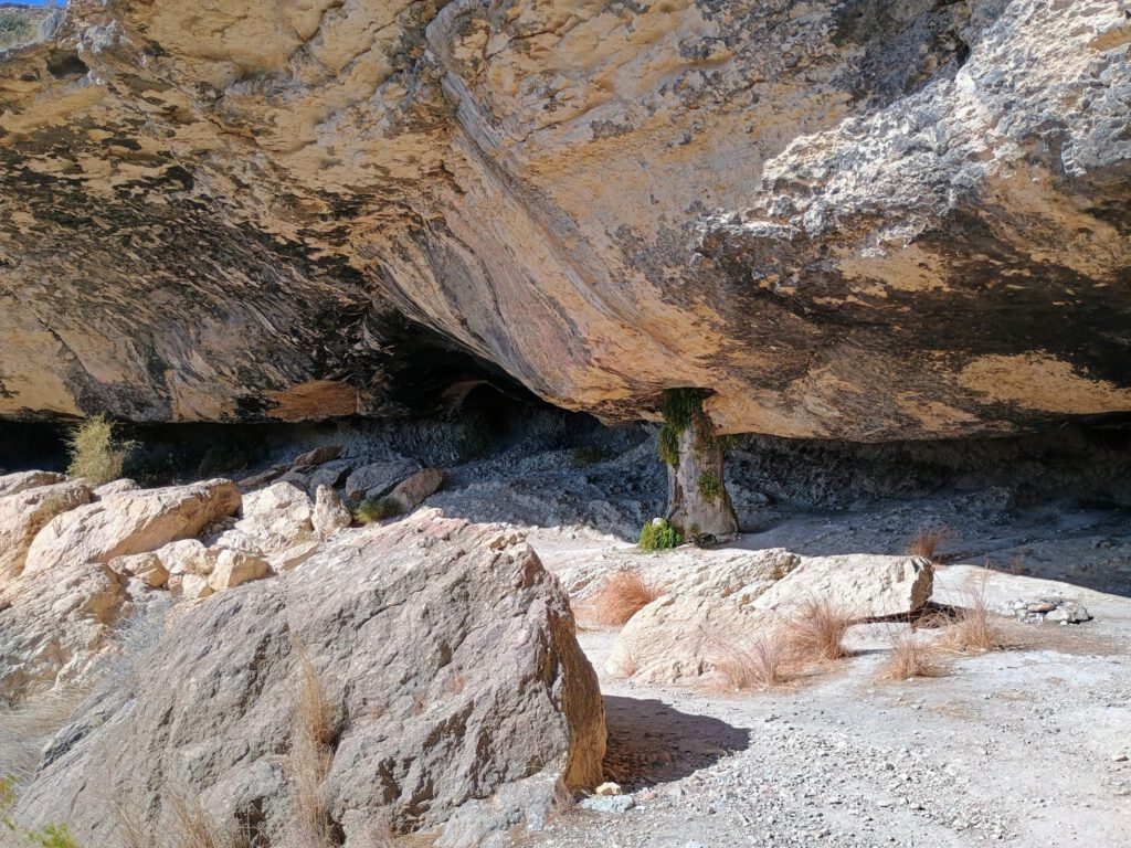 15 februari 2025, Murcia (E)