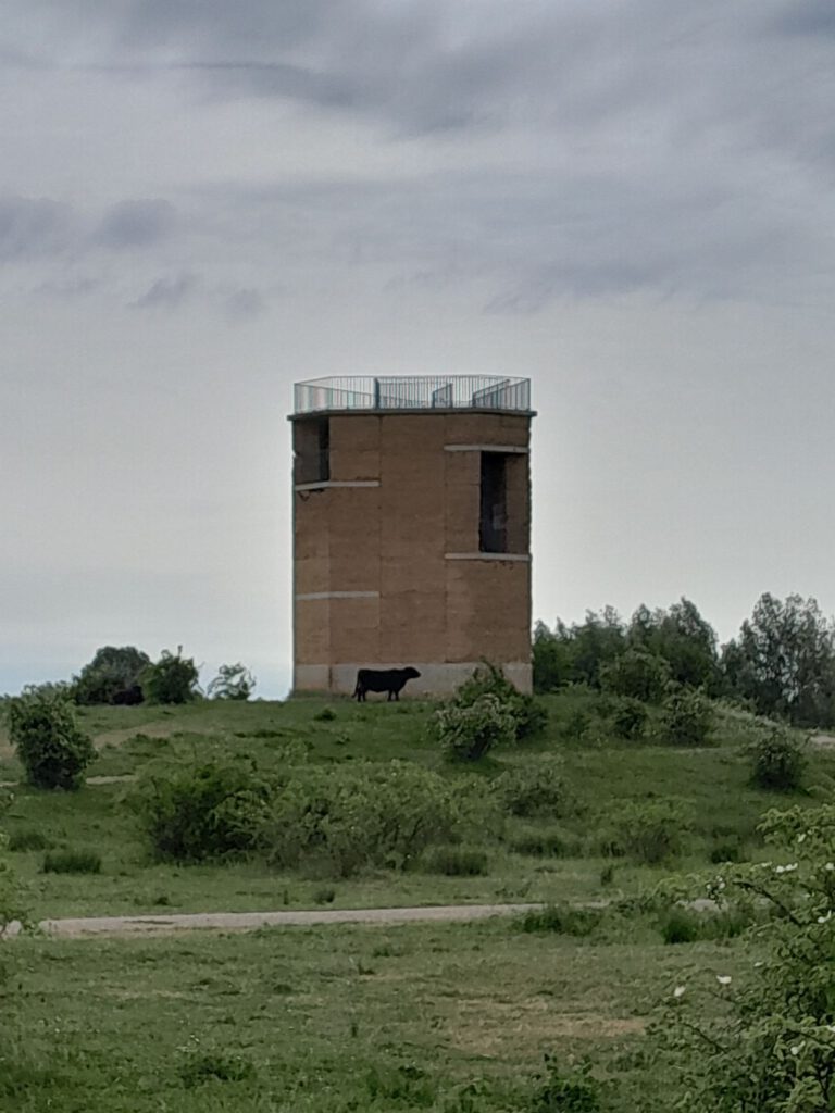 24/25 mei 2025, Dilsen-Stokkem (B)