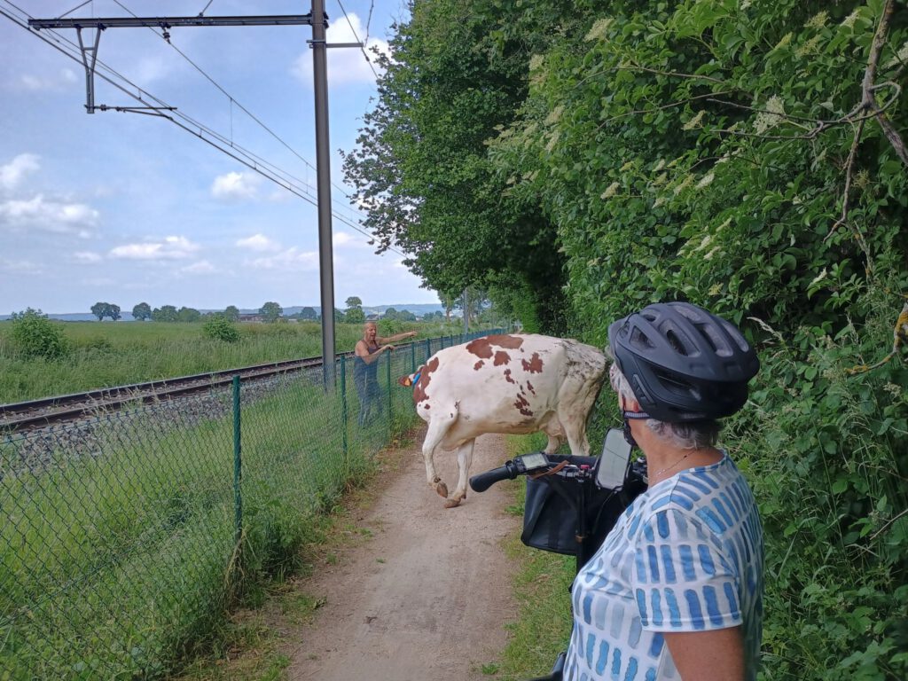 3 juni 2025, Kelmis (B)