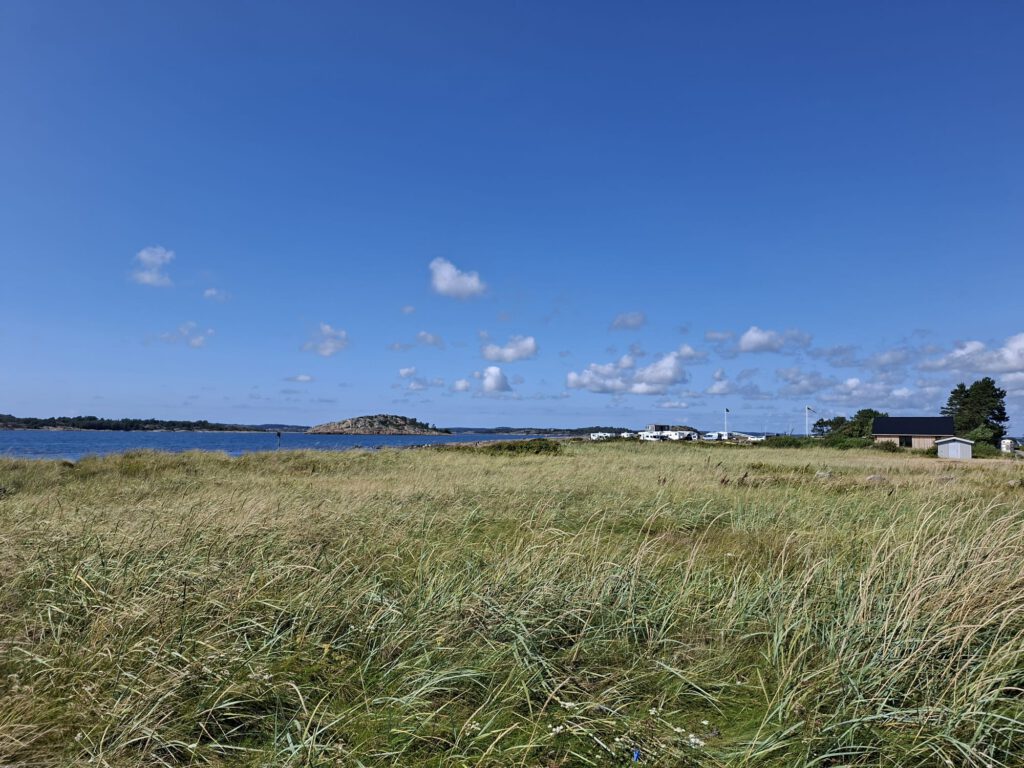 9 augustus 2025, Åsa (S)