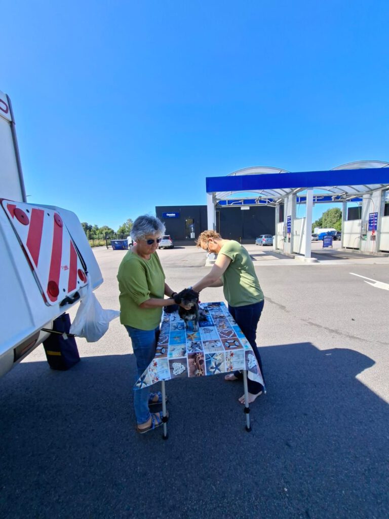 13 augustus 2025, Markaryd (S)