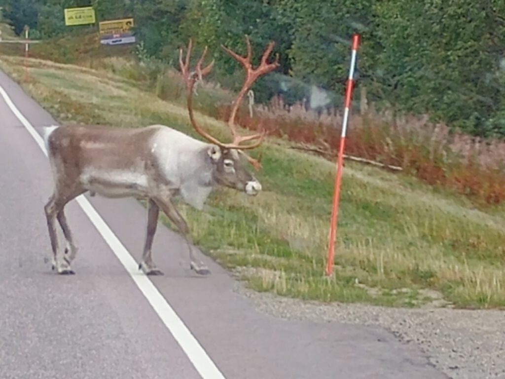 2 september 2025, Inari (FIN)