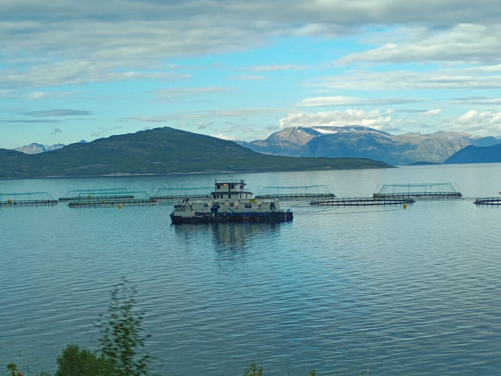 8 september 2025, Skibotn (N)