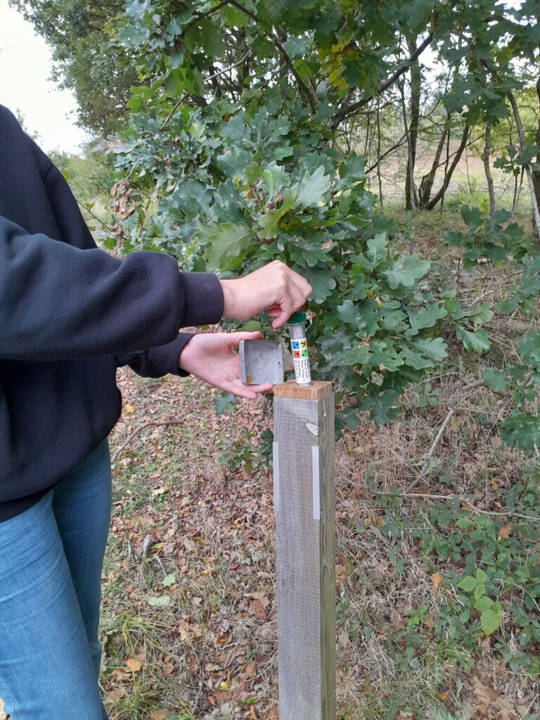 6 oktober 2025, Padborg (DK)