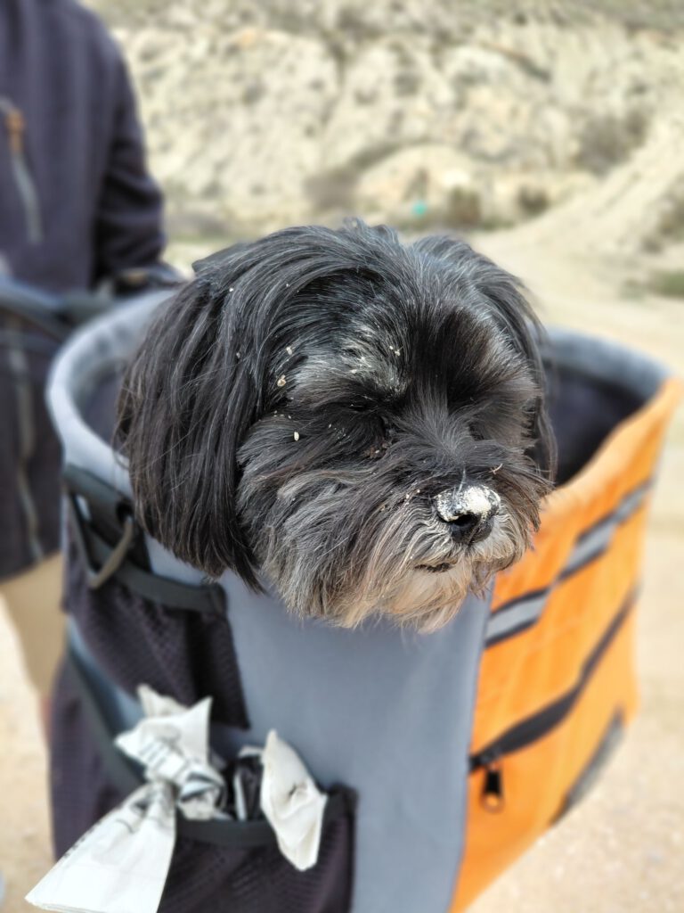 8 februari 2026, Pinoso (E)