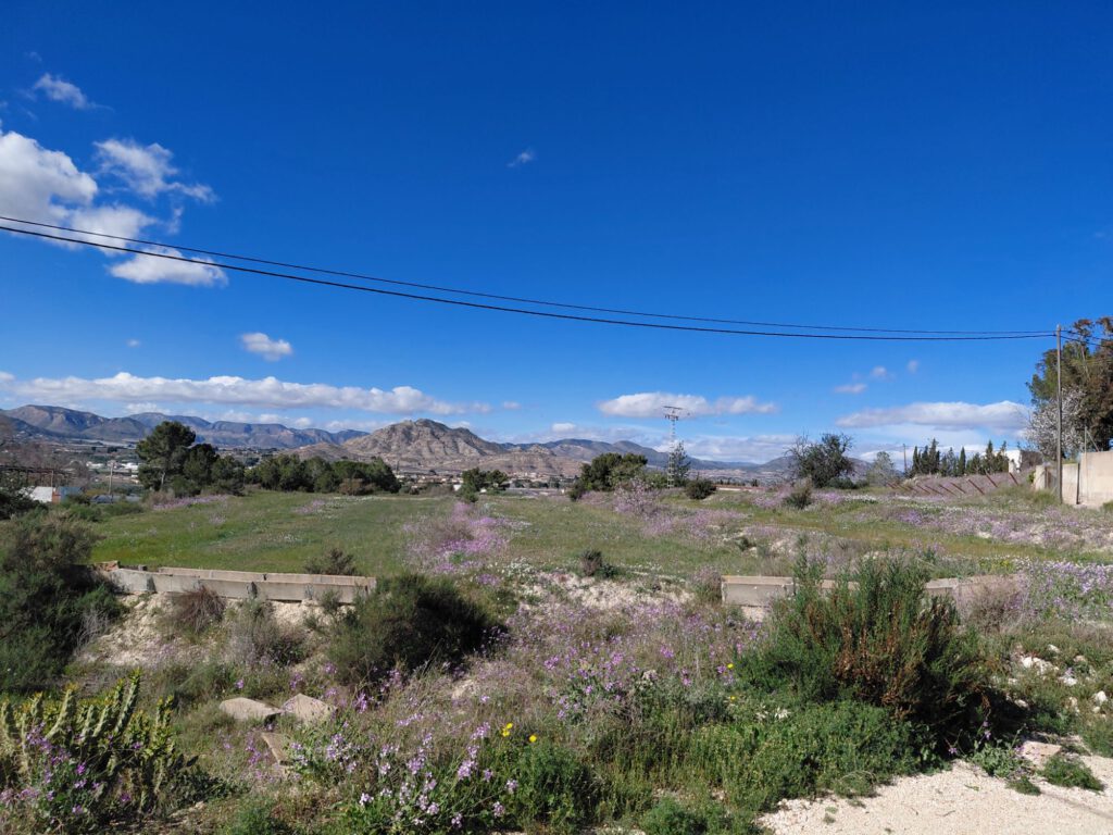 9 februari 2026, Aspe (E)