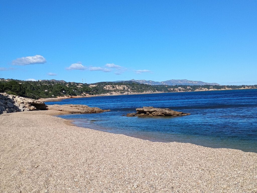 19 februari 2026, El Perelló-Mar (E)